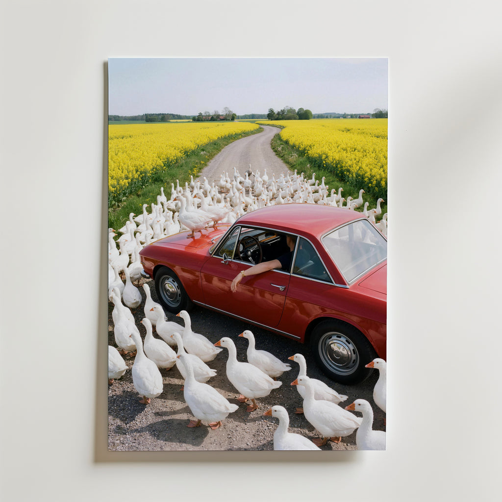 Rapeseed Rush Hour Poster – utan passepartout
