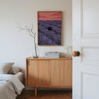 Hidden Cat Lavender Poster – i rum 3