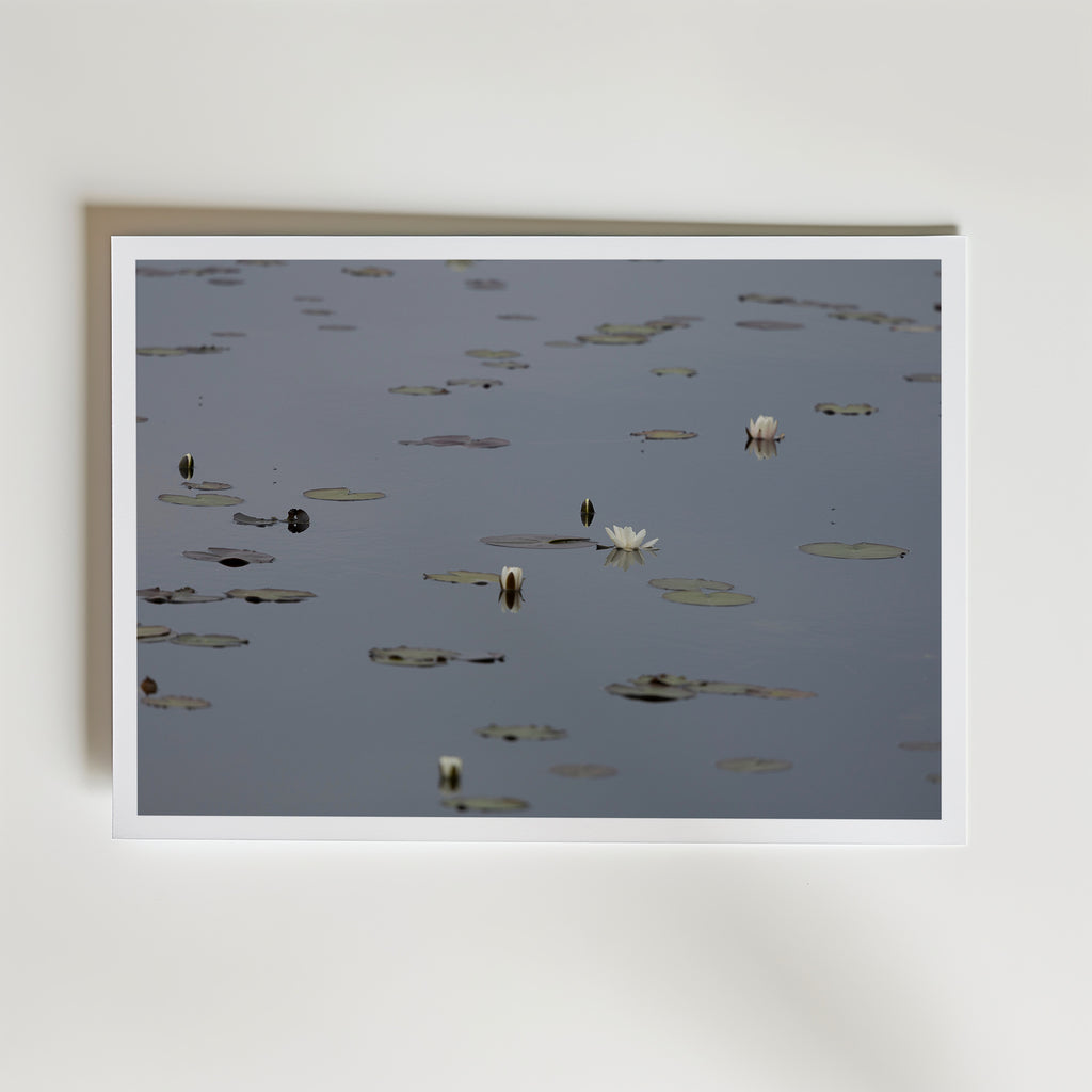 Water Lilies at Maderna inramad affisch – konsttryck från Bozetto i hög kvalitet