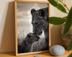 Lioness and Cub Poster – i rum 1