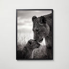Lioness and Cub Poster – svart ram