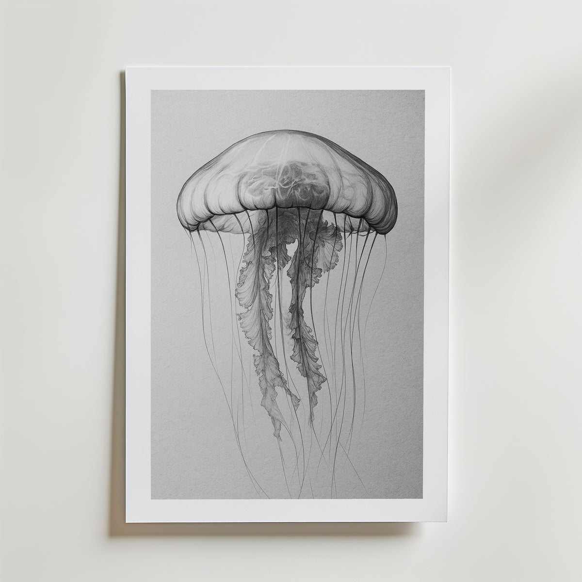 Drifting Jellyfish Sketch Poster – med passepartout