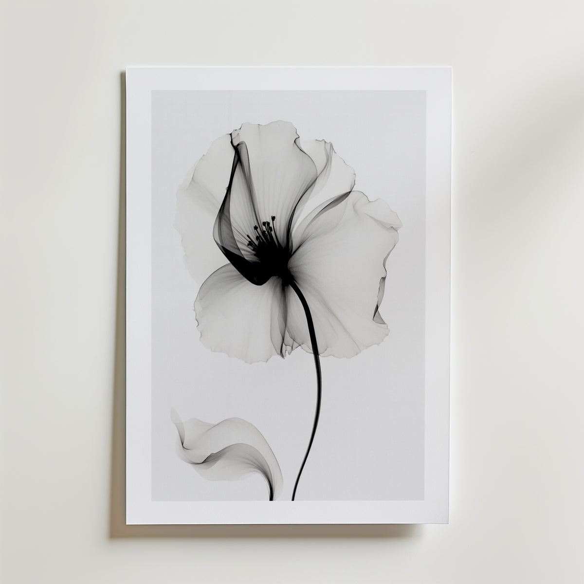 Veiled Poppy Bloom Poster – med passepartout