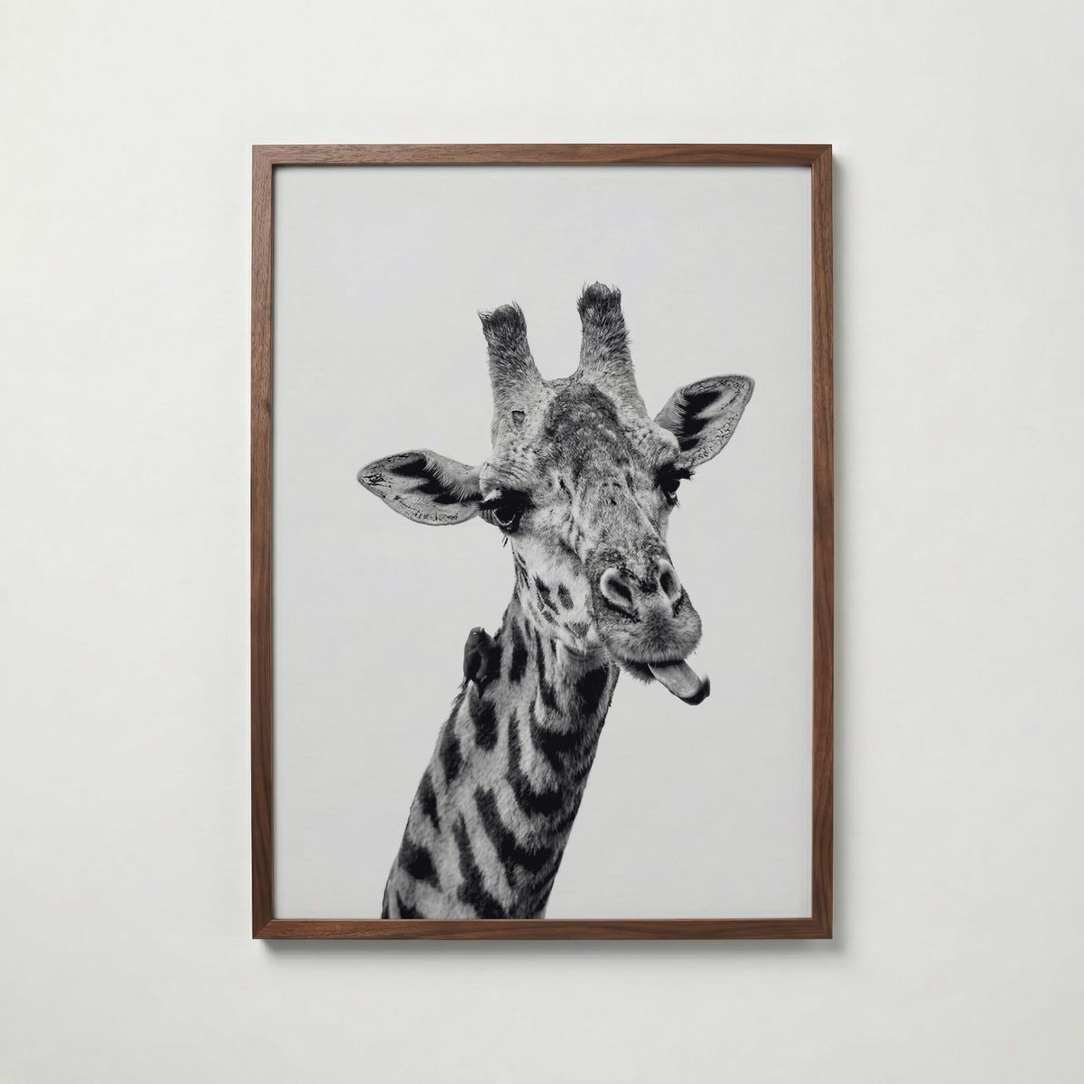 Cheeky Giraffe Poster – valnötsram
